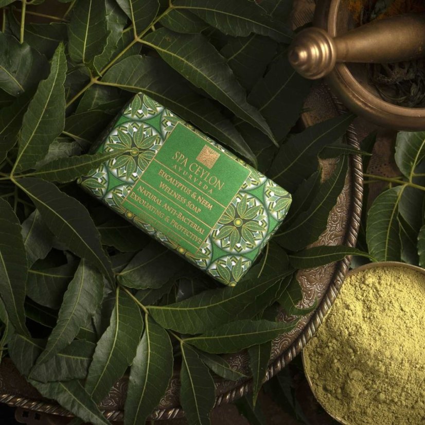 Wellness Soap Eucalyptus & Neem 100 gr