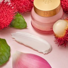 Active Cell Extract Vitamin B12 Day Facial Protector - Lotus & Rambutan 50g-