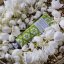 WHITE TUBEROSE Brightening Hand Cream 30g