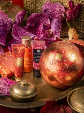 Island Treats Mandarin Orchid ORCHID PARADISE