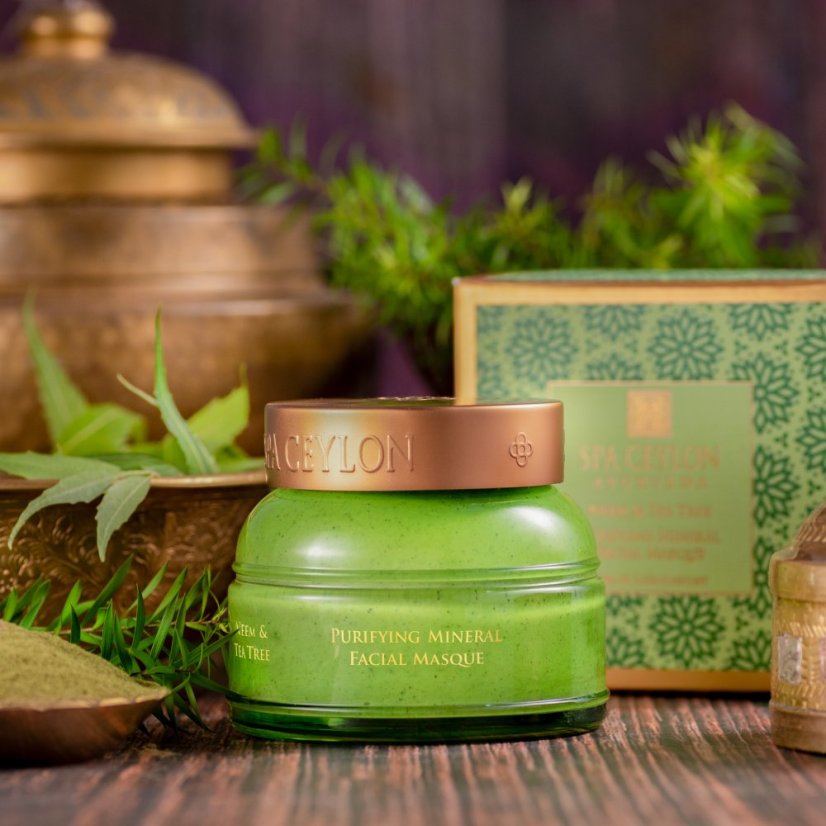Hloubkově čisticí minerální maska NEEM & TEA TREE 100 g