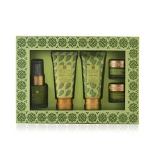 Anti-Blemish Spot Treatment Set NEEM & WINTERGREEN