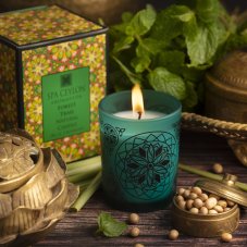 FOREST TRAIL Aromaveda Natural Candle 50g