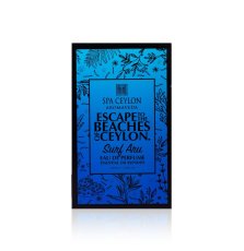 Pánský parfém SURF ARU 100ml