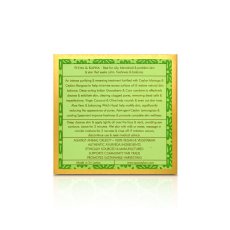 Clarifying Clay Facial Exfoliator SKIN-BALANCE Moringa & Neem 100 g
