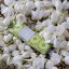 Rozjasňující Krém na Ruce WHITE JASMINE 30g
