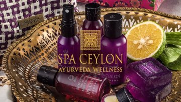 AROMATERAPIE - WonderHerbs - Olivy