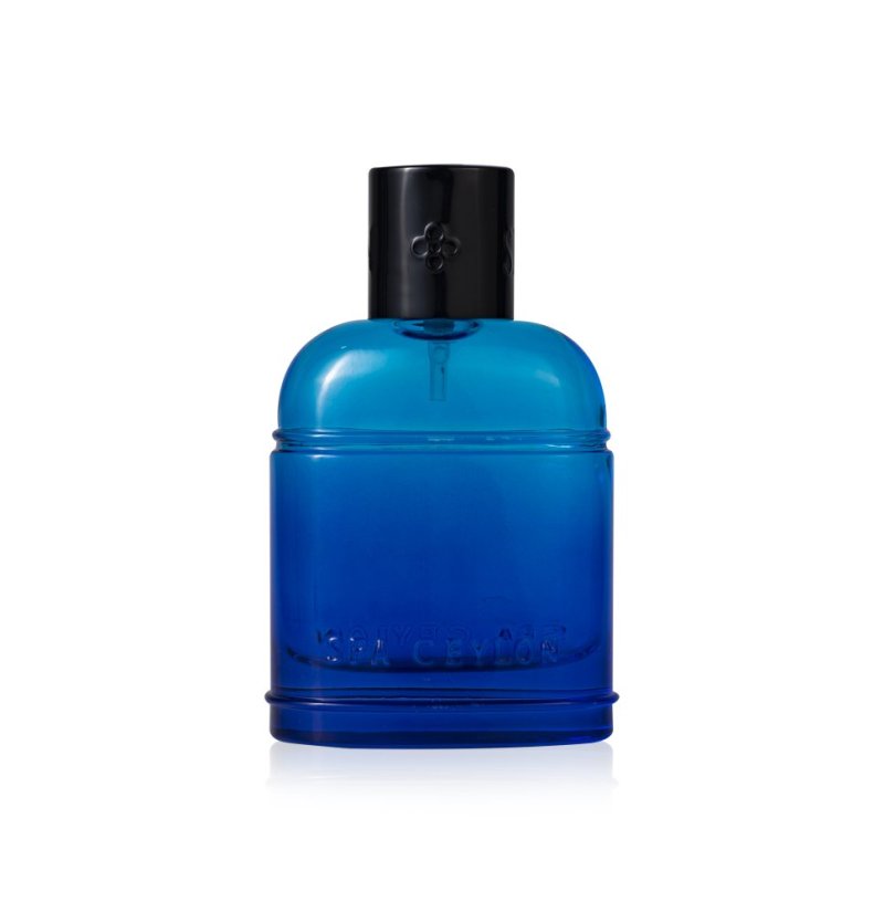 Pánský parfém SURF ARU 100ml