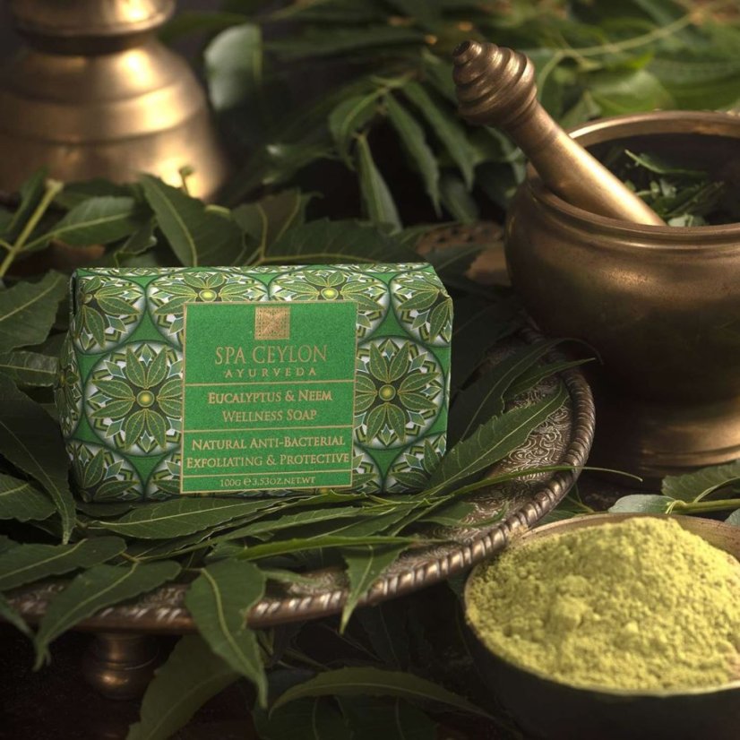 Wellness Soap Eucalyptus & Neem 100 gr