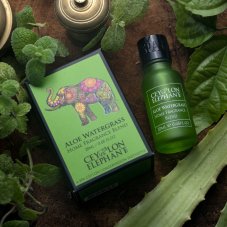 ESSENTIAL OIL BLEND ALOE WATERGRASS 20ml