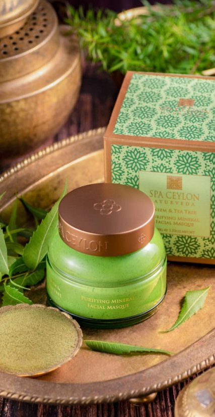 Hloubkově čisticí minerální maska NEEM & TEA TREE 100 g