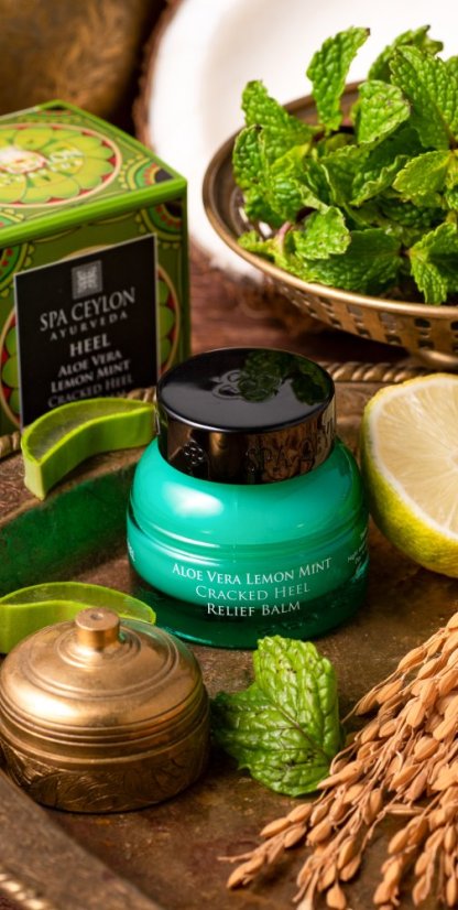 Zklidňující Balzám na Popraskané Paty HEEL ALOE VERA LEMON MINT 25g