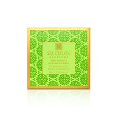 Clarifying Clay Facial Exfoliator SKIN-BALANCE Moringa & Neem 100 g