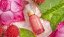 Mléčné sérum na obličej s výtažkem z aktivních buněk + vitaminem B12 -  Lotus & Rambutan  30 ml