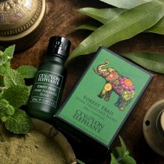 Směs Esenciálních Olejů FOREST TRAIL 20ml