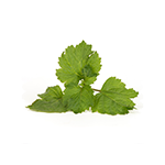 Pačuli